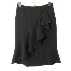 Ann Taylor Skirt- EUC! Size 00p